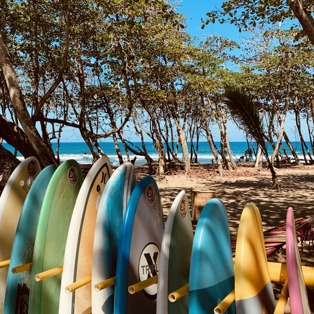 assorted-color surfboard lot in rack during daytime
