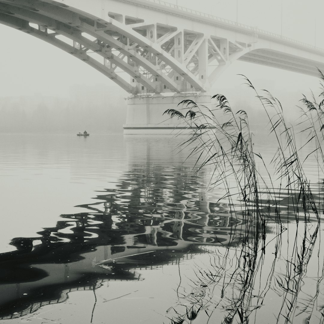 A bridge over a foggy river with reeds