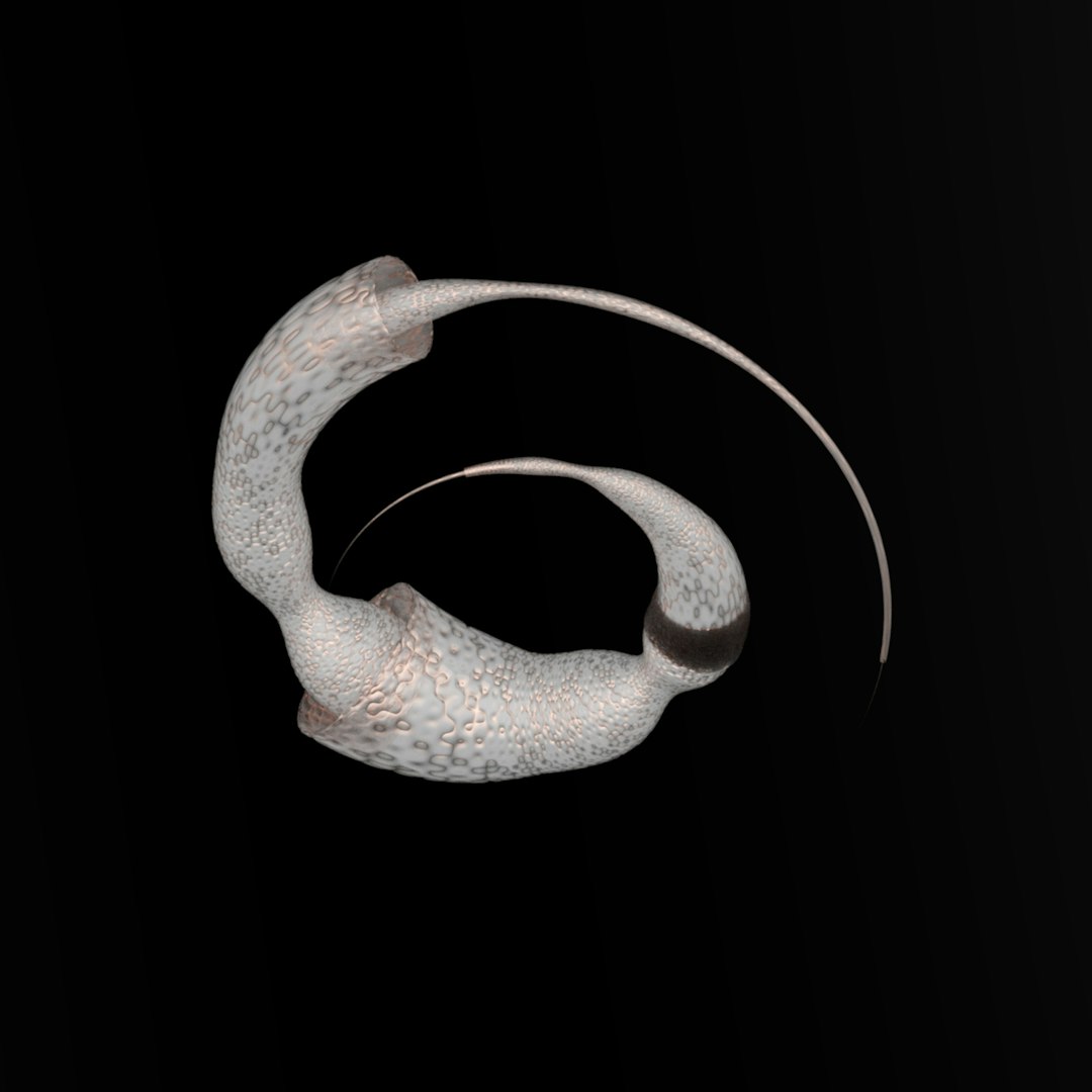 a black background with a white object in the middle of it