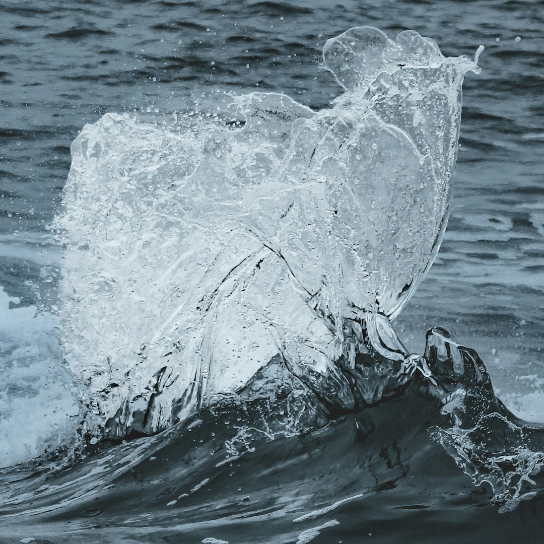 A large piece of ice floating on top of a body of water