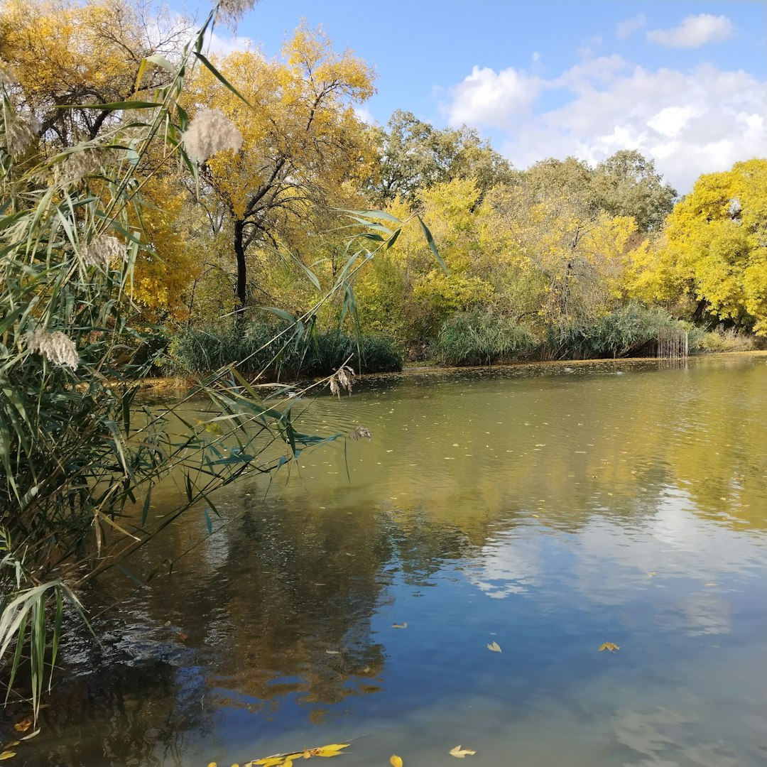 Autumn trees reflected in a calm lake