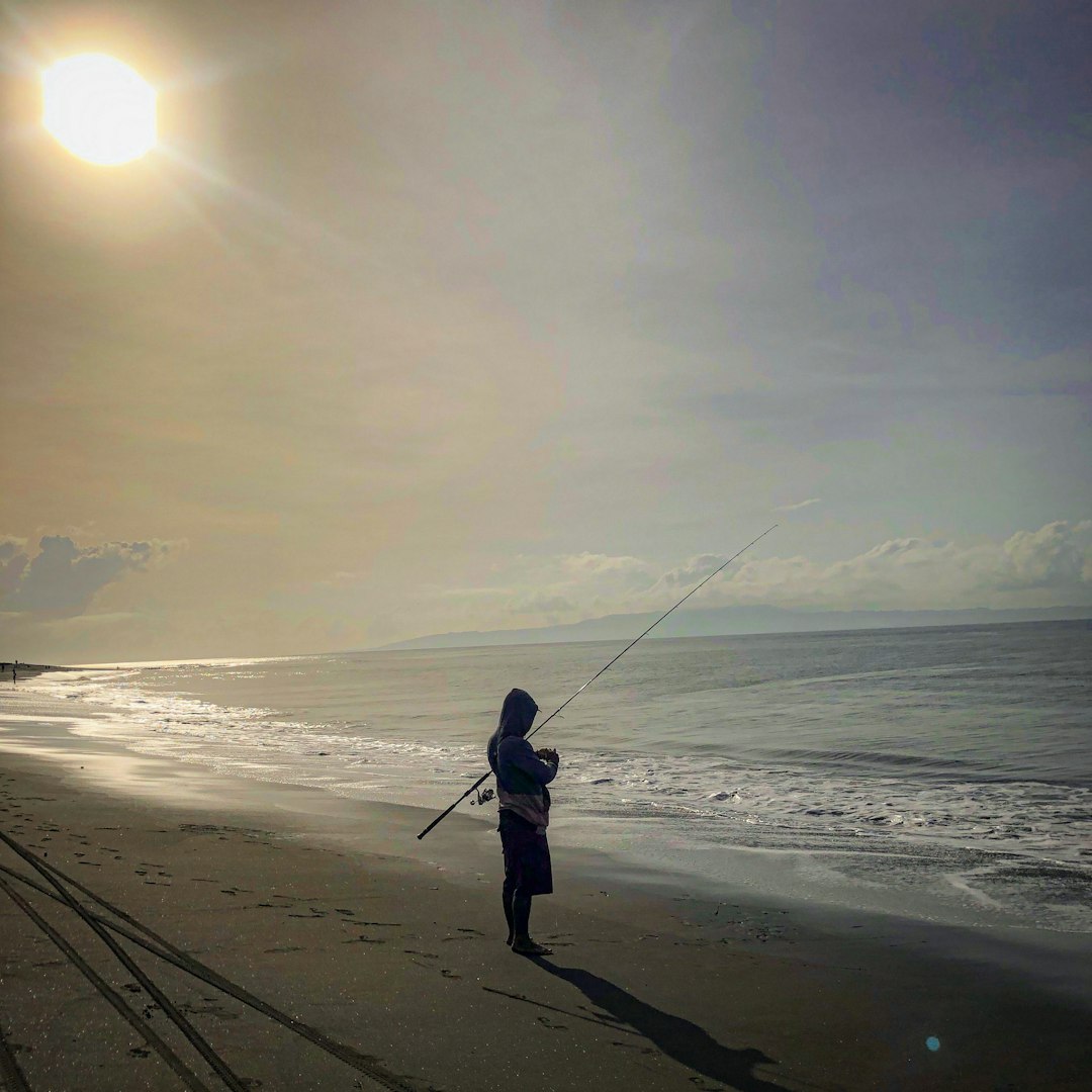 a person standing on a beach holding a fishing pole