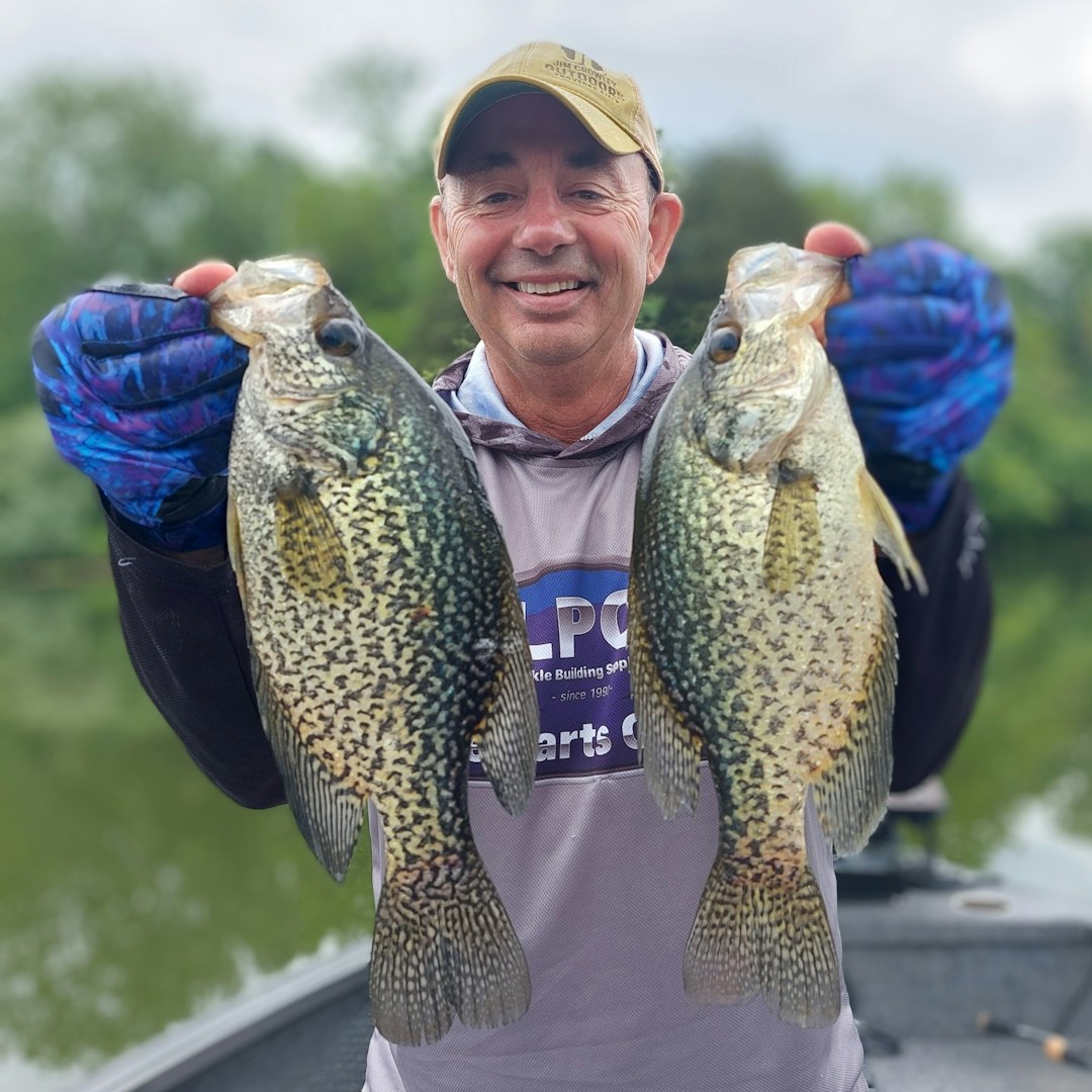 Man holding two large crappie fish