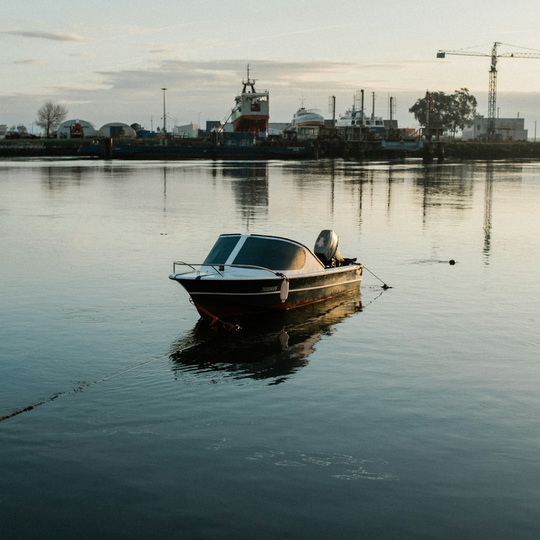 white and brown boat on water during daytime